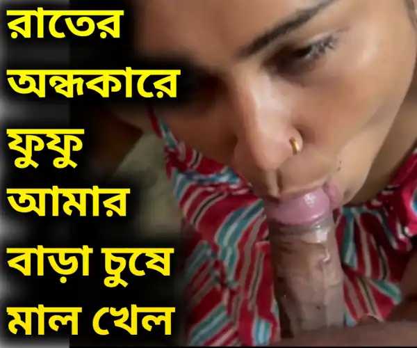 বিধবা ফুফুকে সিনেমা হলে নিয়ে গিয়ে তার শাড়ি শায়ার নিচে হাত ঢুকিয়ে হাতানো ও তারপর তার বাড়িতে গিয়ে তাকে চোদার গল্প অডিও।
